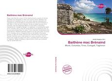 Buchcover von Baithéne mac Brénaind