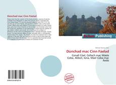 Dúnchad mac Cinn Fáelad的封面