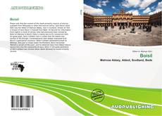 Buchcover von Boisil