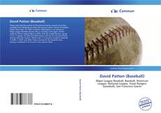 Capa do livro de David Patton (Baseball) 