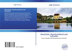 Capa do livro de Beachside, Newfoundland and Labrador 