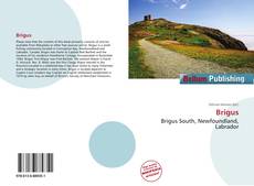 Brigus kitap kapağı