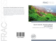 Couverture de Burnt Islands, Newfoundland and Labrador