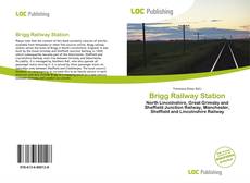 Capa do livro de Brigg Railway Station 