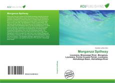 Bookcover of Morganza Spillway