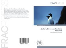 Couverture de Colliers, Newfoundland and Labrador