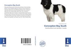 Buchcover von Conception Bay South