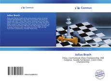 Capa do livro de Julius Brach 