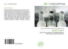Karel Traxler kitap kapağı