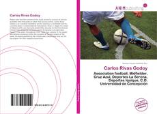 Capa do livro de Carlos Rivas Godoy 