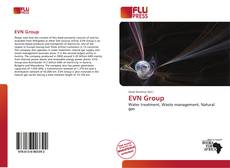 Couverture de EVN Group