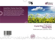 Bookcover of Crystal River 3 Nuclear Power Plant