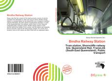 Portada del libro de Bindha Railway Station