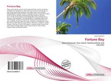 Couverture de Fortune Bay