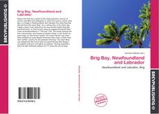 Bookcover of Brig Bay, Newfoundland and Labrador