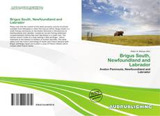 Buchcover von Brigus South, Newfoundland and Labrador