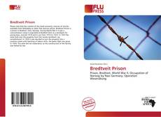 Couverture de Bredtveit Prison