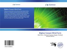 Biglow Canyon Wind Farm kitap kapağı