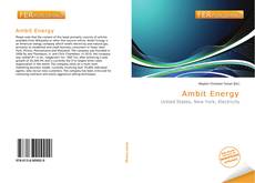 Bookcover of Ambit Energy