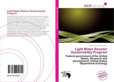 Light Water Reactor Sustainability Program kitap kapağı