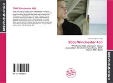 Copertina di 2006 Winchester 400