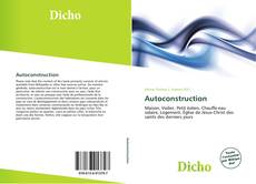 Copertina di Autoconstruction