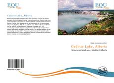 Bookcover of Cadotte Lake, Alberta