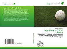 Bookcover of Juventus F.C. Youth Sector