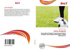 Bookcover of Jose Angulo