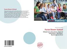 Couverture de Furze Down School