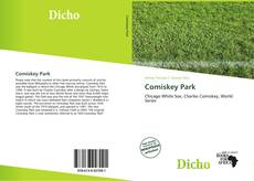 Bookcover of Comiskey Park