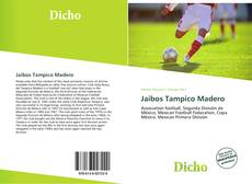 Copertina di Jaibos Tampico Madero