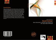 Bookcover of David Schizer