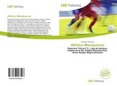 Capa do livro de Atlético Mexiquense 