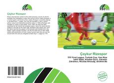 Buchcover von Çaykur Rizespor