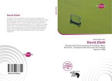 Bookcover of David Zitelli