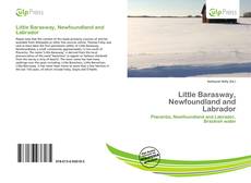 Couverture de Little Barasway, Newfoundland and Labrador