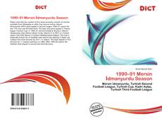 Bookcover of 1990–91 Mersin İdmanyurdu Season