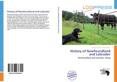 History of Newfoundland and Labrador kitap kapağı