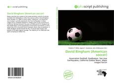 Bookcover of David Bingham (American soccer)