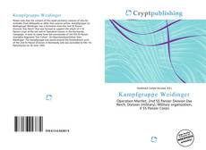 Bookcover of Kampfgruppe Weidinger