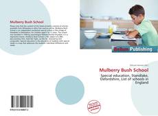 Couverture de Mulberry Bush School