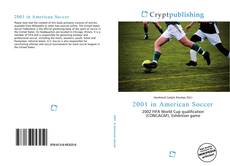 Bookcover of 2001 in American Soccer