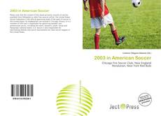 2003 in American Soccer kitap kapağı