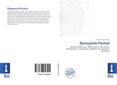 Bookcover of Demyansk Pocket