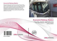 Avonwick Railway Station的封面