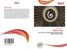 Bookcover of Blown flap