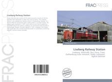 Portada del libro de Liseberg Railway Station