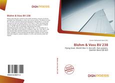 Bookcover of Blohm & Voss BV 238