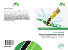 Copertina di David Bulow